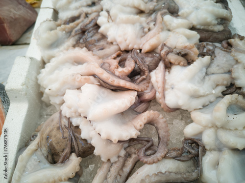 Cuttlefish in open seamarket photo