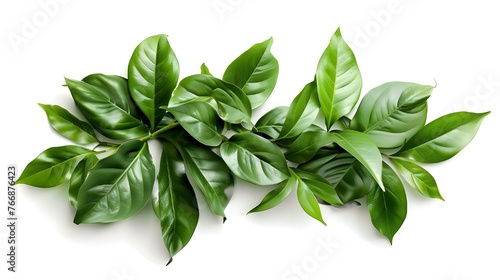 The natural background of green leaves of tropical plants in the room, forming a shrubby composition, brings elements of nature and freshness to the interior, creating a harmonious atmosphere.
