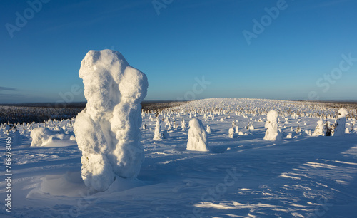 Winter landscape in Riisitunturi National Park (Riisitunturin kansallispuisto), central Finland with snow and frost covered fir trees photo