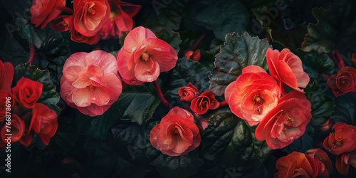 Vivid Flowers Organic Texture Close-up