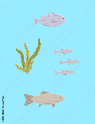 Set of sea or river fish and algae. Vector illustration dorado carp, a school of fish, blue background. © Elenglush