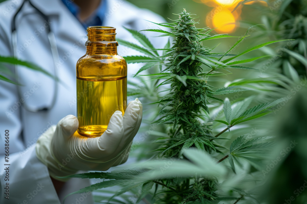 a doctor holding a bottle of cannabis oil a doctor holding a bottle of cannabis oil