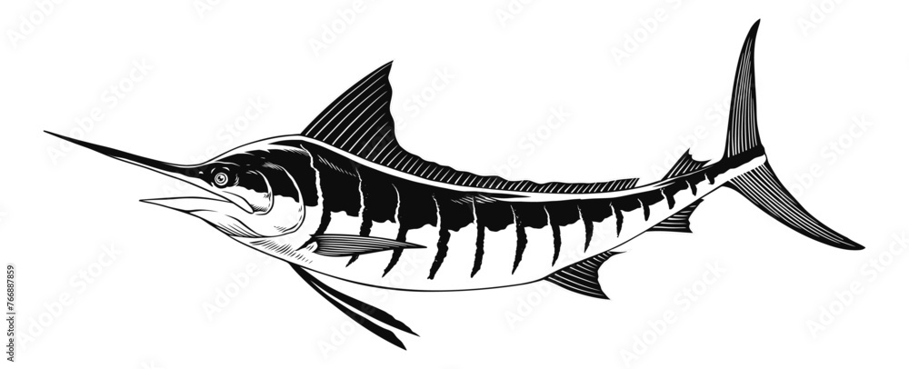 Marlin Fish VectorBlack and White Illustration - obrazy, fototapety, plakaty 