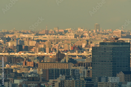 Tokyo city views in dusk beautiful light Japan travel © Andreas