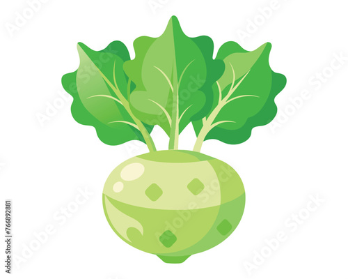 Kohlrabi Vegetables flat vector illustration on white background