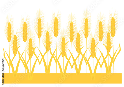 黄金色の小麦畑