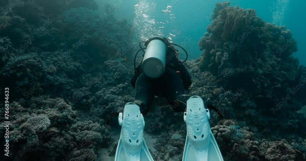 a scuba diver paddling with his fins in the red sea