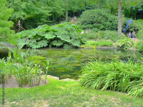 Jolie jardin et étangs