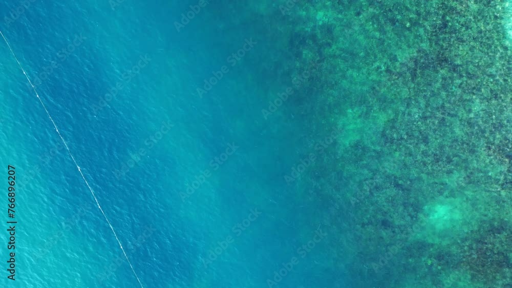 Reef shark black fin blue turquoise ocean. Smooth aerial top view flight drone shot footage from above
4k Reef shark black fin blue turquoise ocean. Smooth aerial top view flight drone shot footage from above
4k