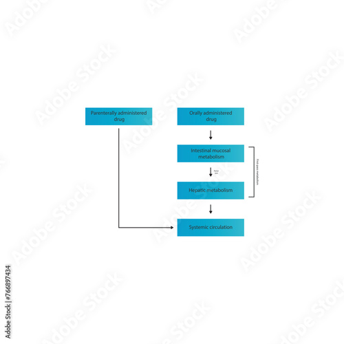 Diagram of drug first pass metabolism process - oral drug administration, intestinal mucosal metabolism, hepatic metabolism and systemic circulation vs. parenteral drug administration.