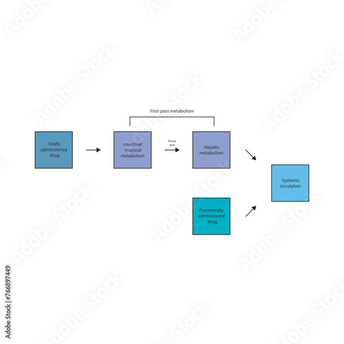 Diagram of drug first pass metabolism process - oral drug administration, intestinal mucosal metabolism, hepatic metabolism and systemic circulation vs. parenteral drug administration.