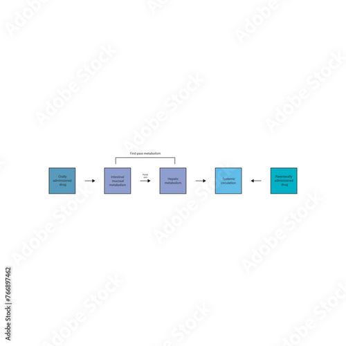 Diagram of drug first pass metabolism process - oral drug administration, intestinal mucosal metabolism, hepatic metabolism and systemic circulation vs. parenteral drug administration.