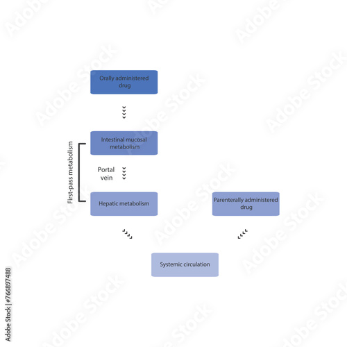 Diagram of drug first pass metabolism process - oral drug administration, intestinal mucosal metabolism, hepatic metabolism and systemic circulation vs. parenteral drug administration.