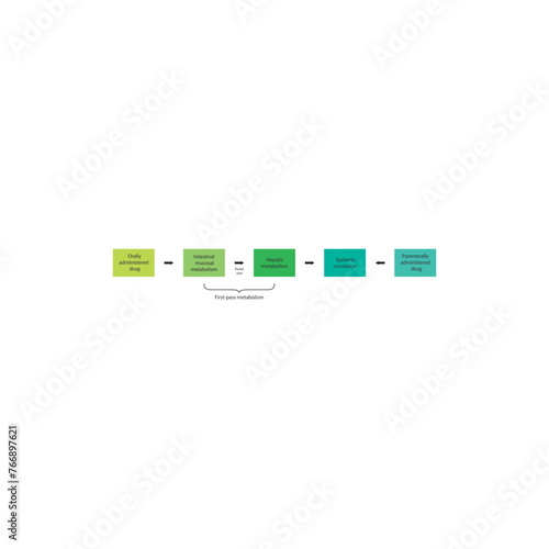 Diagram of drug first pass metabolism process - oral drug administration, intestinal mucosal metabolism, hepatic metabolism and systemic circulation vs. parenteral drug administration. 