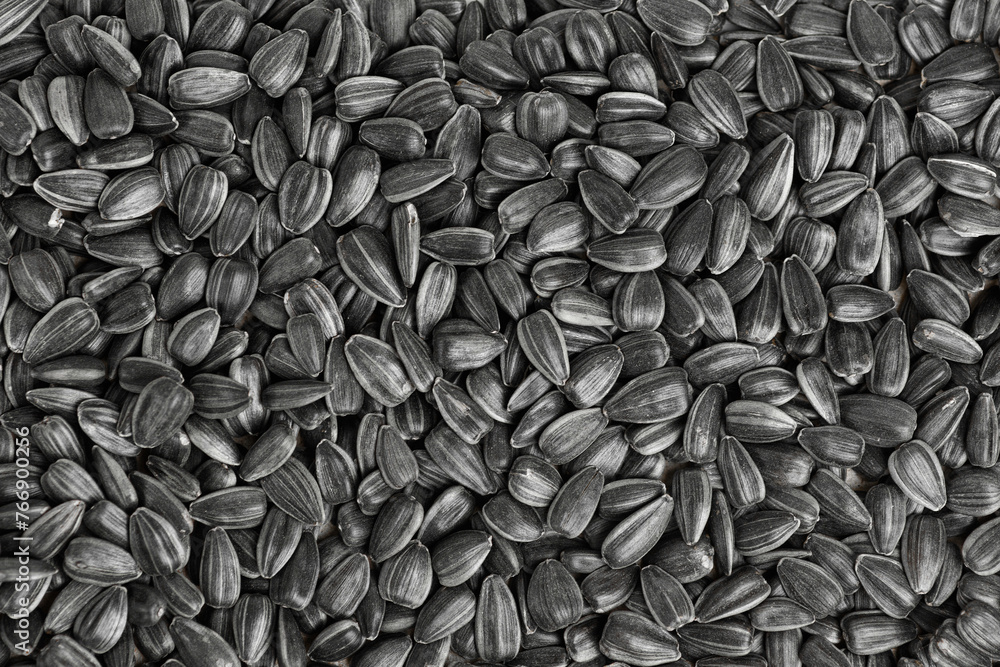 black sunflower seeds texture