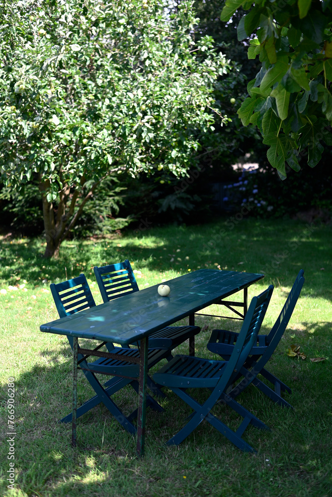 Single apple lying on green garden table Single apple lying on green garden table