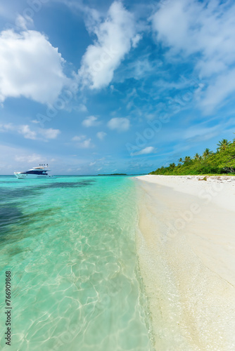 A Maldives Beach showing the clear water and Palm Trees. © Nick Brundle