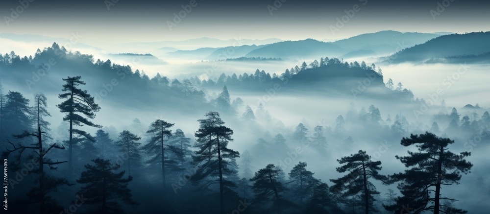 A mysterious atmosphere hangs over the foggy forest with mountains in the background. The water in the air creates a dreamy landscape with trees disappearing into the misty horizon