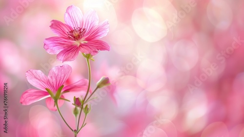 image of pink blooming flowers illuminated by sunlight. AI generated images © abdul kahfi