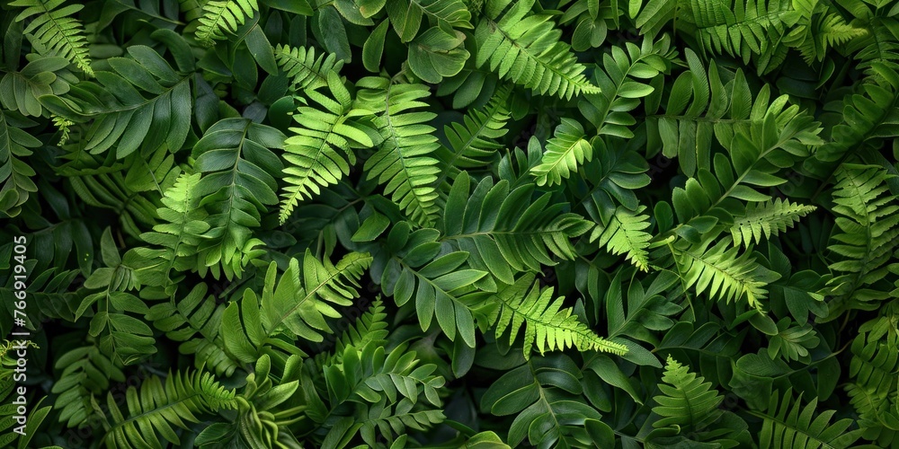 Lush Green Leaf Texture Closeup Lush Green Leaf Texture Closeup