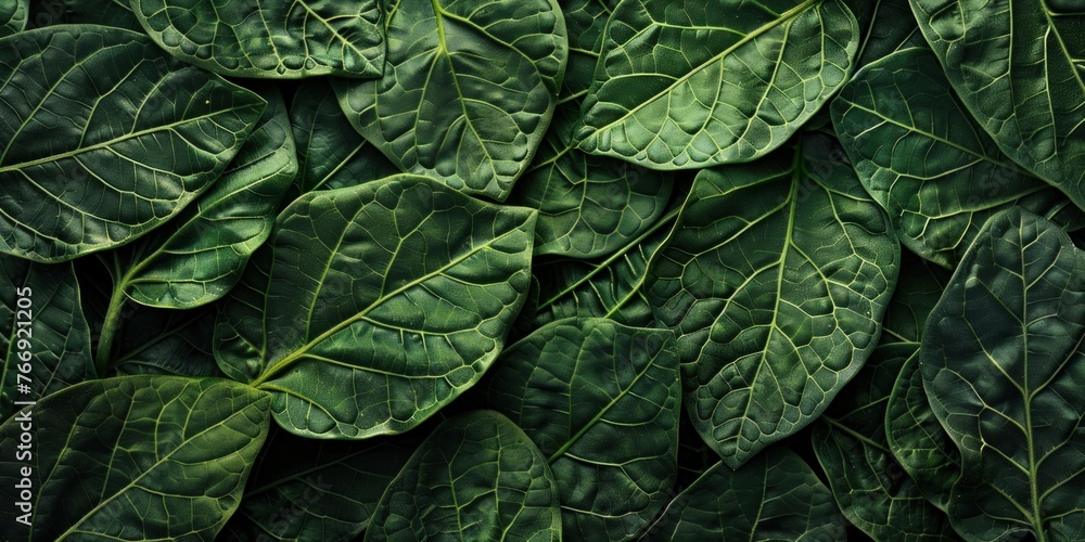 Lush Green Leafs Organic Texture Close-Up - obrazy, fototapety, plakaty 