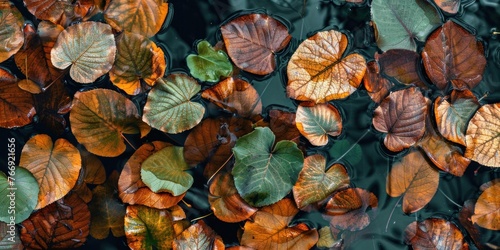 Leafy Organic Texture on Water photo