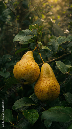 close up of 2 yellow pears in tropical rainforest. dense jungle. dawn. rays of light. dark moody jungle.