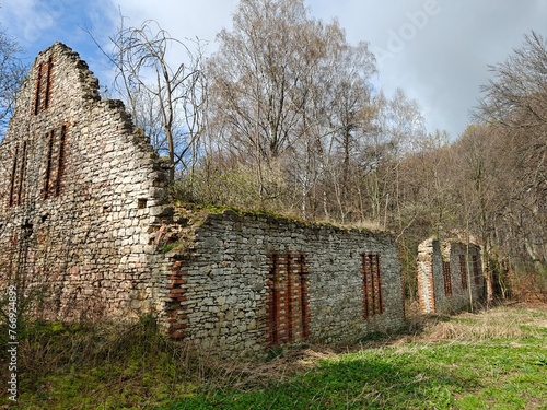 old house ruins in the woods © Piotr