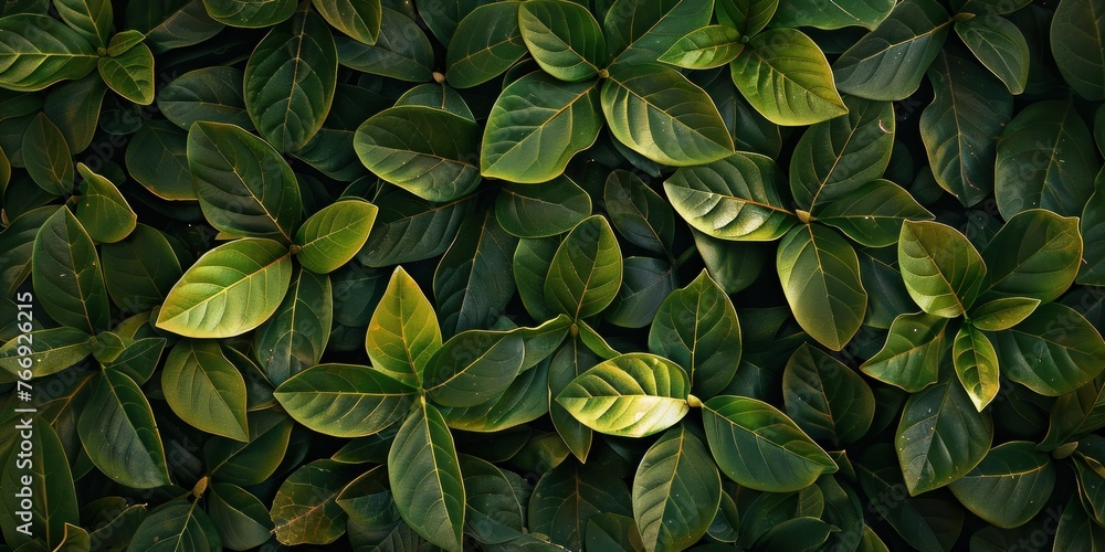 Vibrant Leafs Organic Texture Close-Up Vibrant Leafs Organic Texture Close-Up