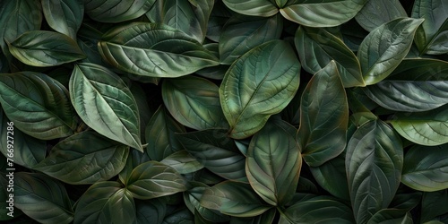 Lush Leafy Organic Texture Close-up