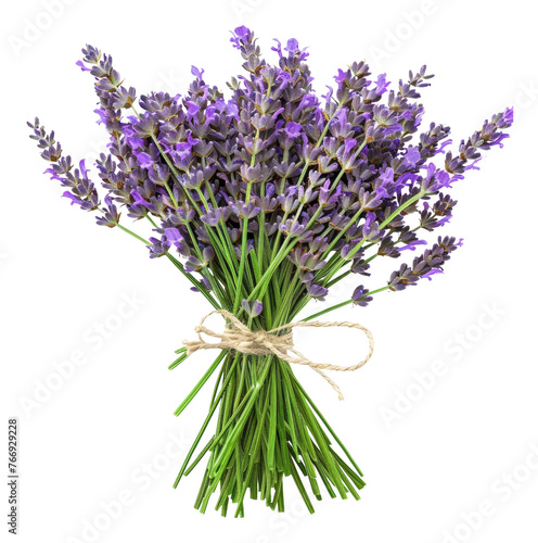 Fresh lavender bouquet with green stems  cut out - stock png.