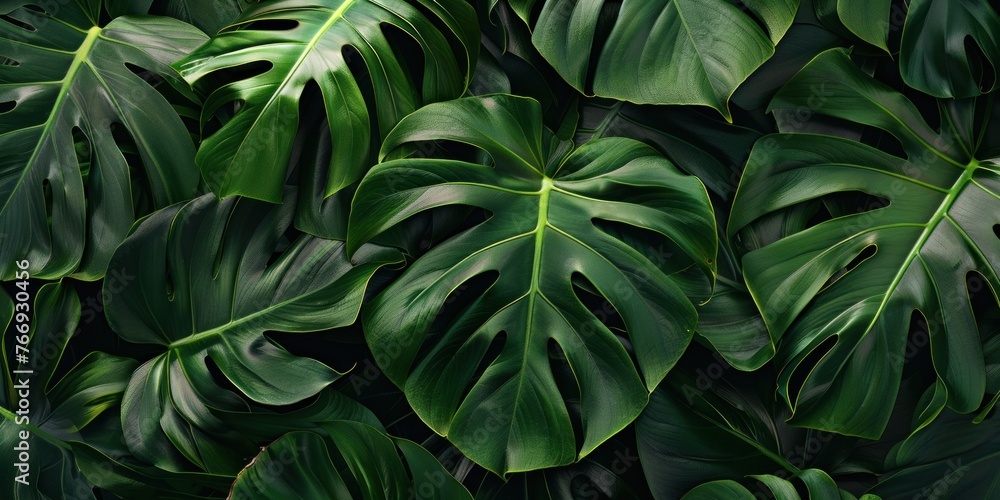 Lush Green Leaf Textures Close-up Lush Green Leaf Textures Close-up
