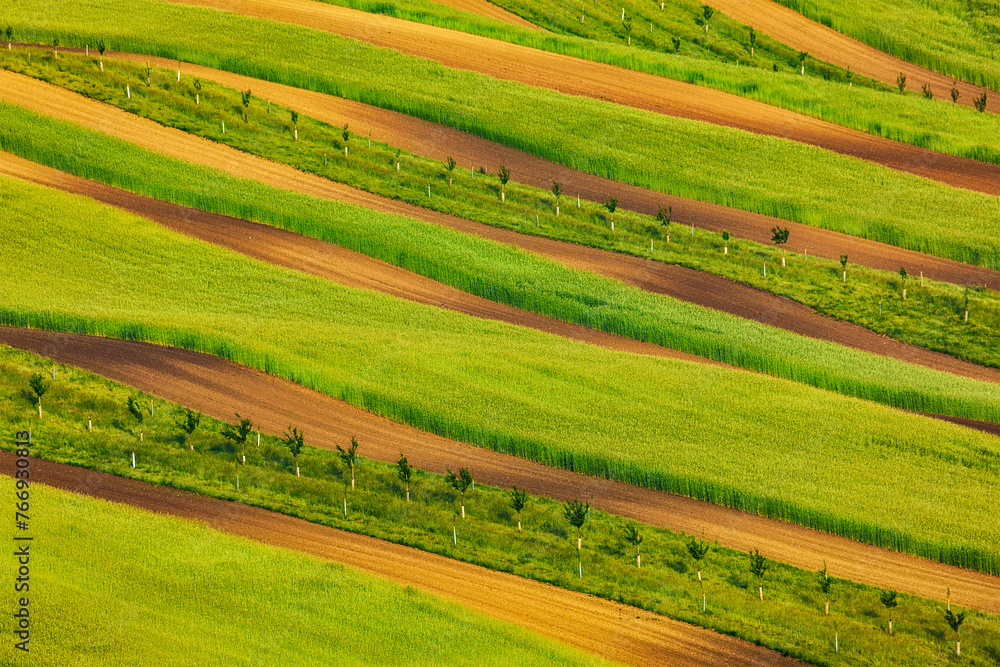Striped fields of South Moravia