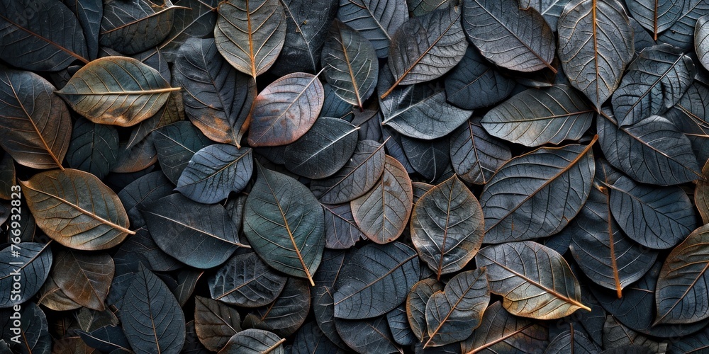 Leafs Organic Texture Close-Up View Leafs Organic Texture Close-Up View