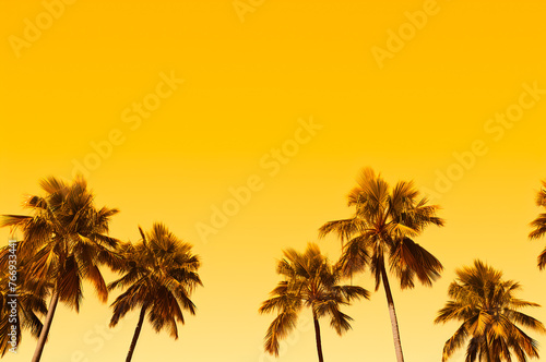 Palms leaf on yellow background