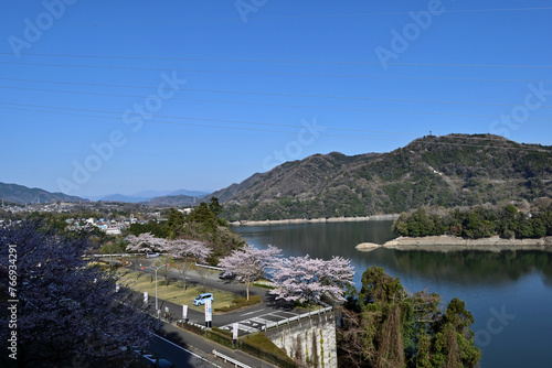 【神奈川県】春の津久井湖城山公園 湖畔