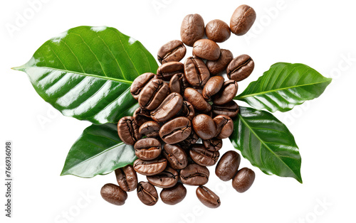 Collection Coffee Beans isolated on transparent Background