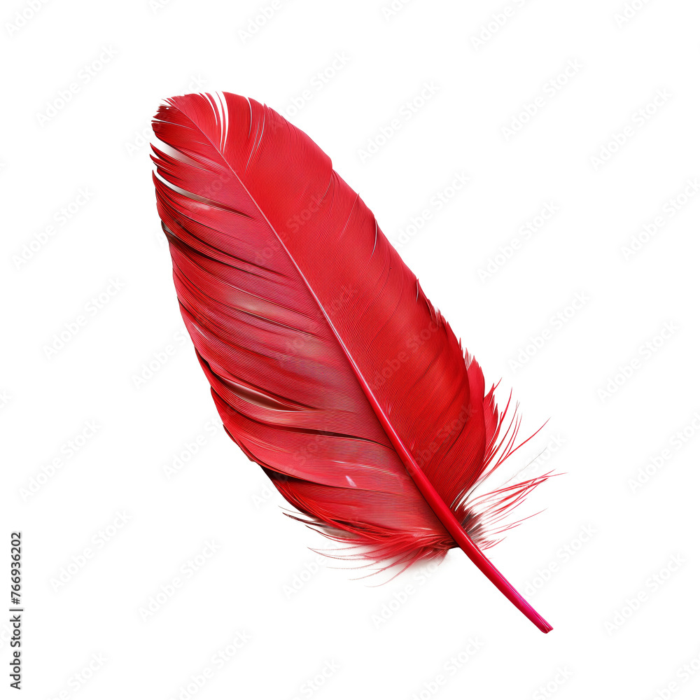 Single red feather with fine texture, cut out - stock png. Single red feather with fine texture, cut out - stock png.