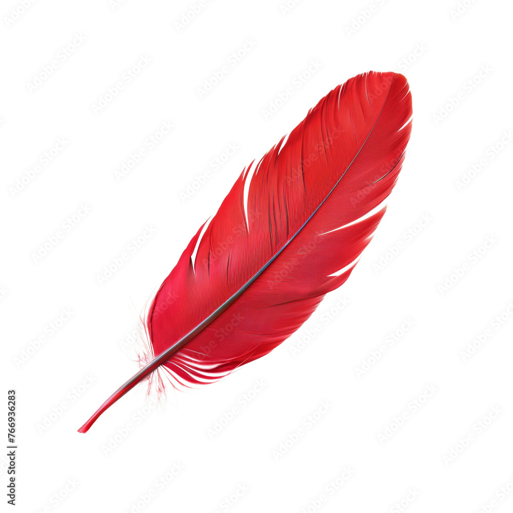 Single red feather with fine texture, cut out - stock png. Single red feather with fine texture, cut out - stock png.