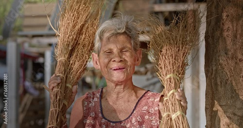 A happy smiling Asian woman who is a rural elderly person with white hair, sitting and show the floke brooms that she made by herselfe as the sun set in a golden glow in the rural area. photo