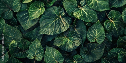 Lush Green Leaves Organic Texture