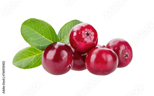 Leafy Cranberry Delight isolated on transparent Background