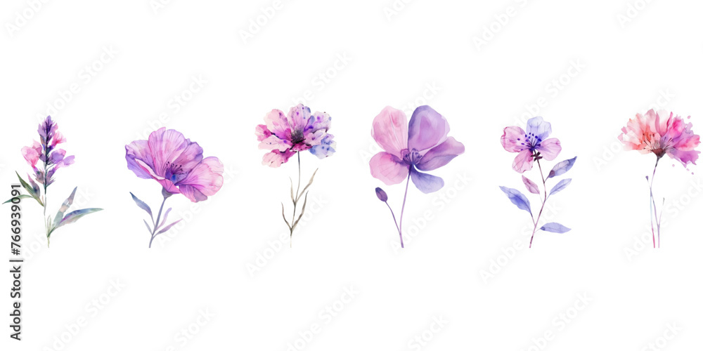 Fototapeta premium watercolor wild flower on awhite background