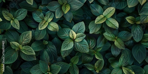Lush Green Leaf Organic Texture