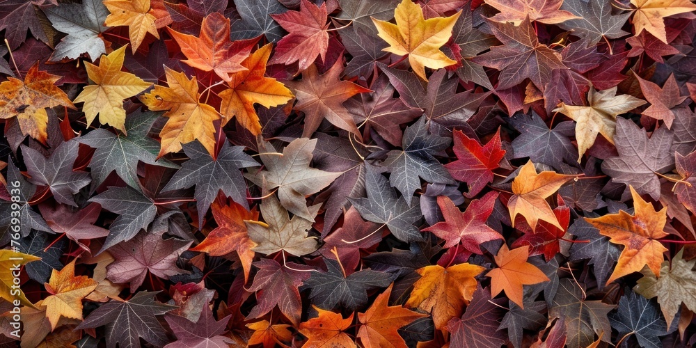 Autumn Leafs Organic Texture Close-Up Autumn Leafs Organic Texture Close-Up