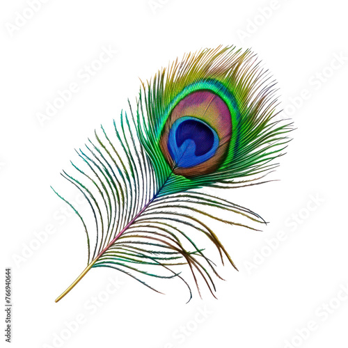 Peacock feather. Isolated on transparent background. 