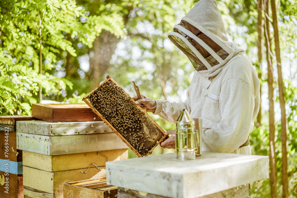 Beekeeper is examining his beehives in forest. Beekeeping professional occupation. Beekeeper is examining his beehives in forest. Beekeeping professional occupation.