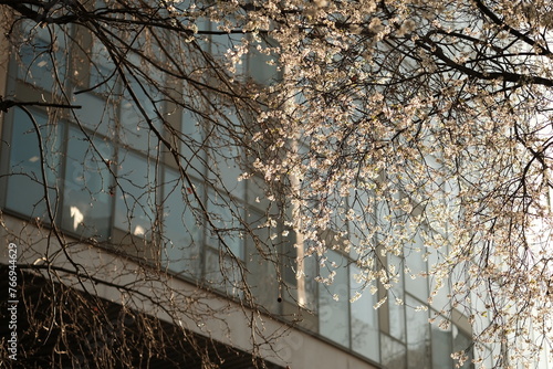 Wallpaper Mural Printemps de Paris, France Torontodigital.ca