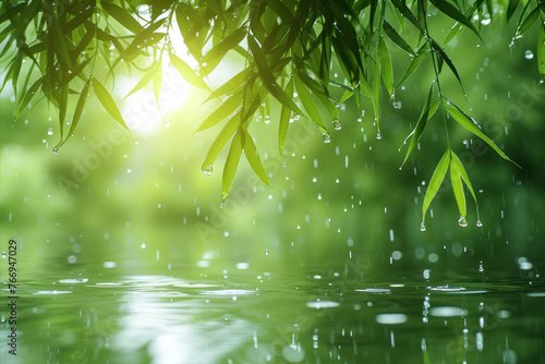 Bamboo leaves with water drops and sunbeams. Natural background.