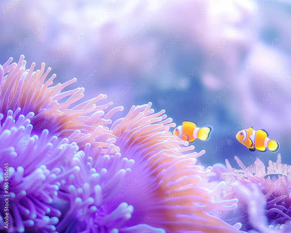 coral reef in aquarium coral reef in aquarium